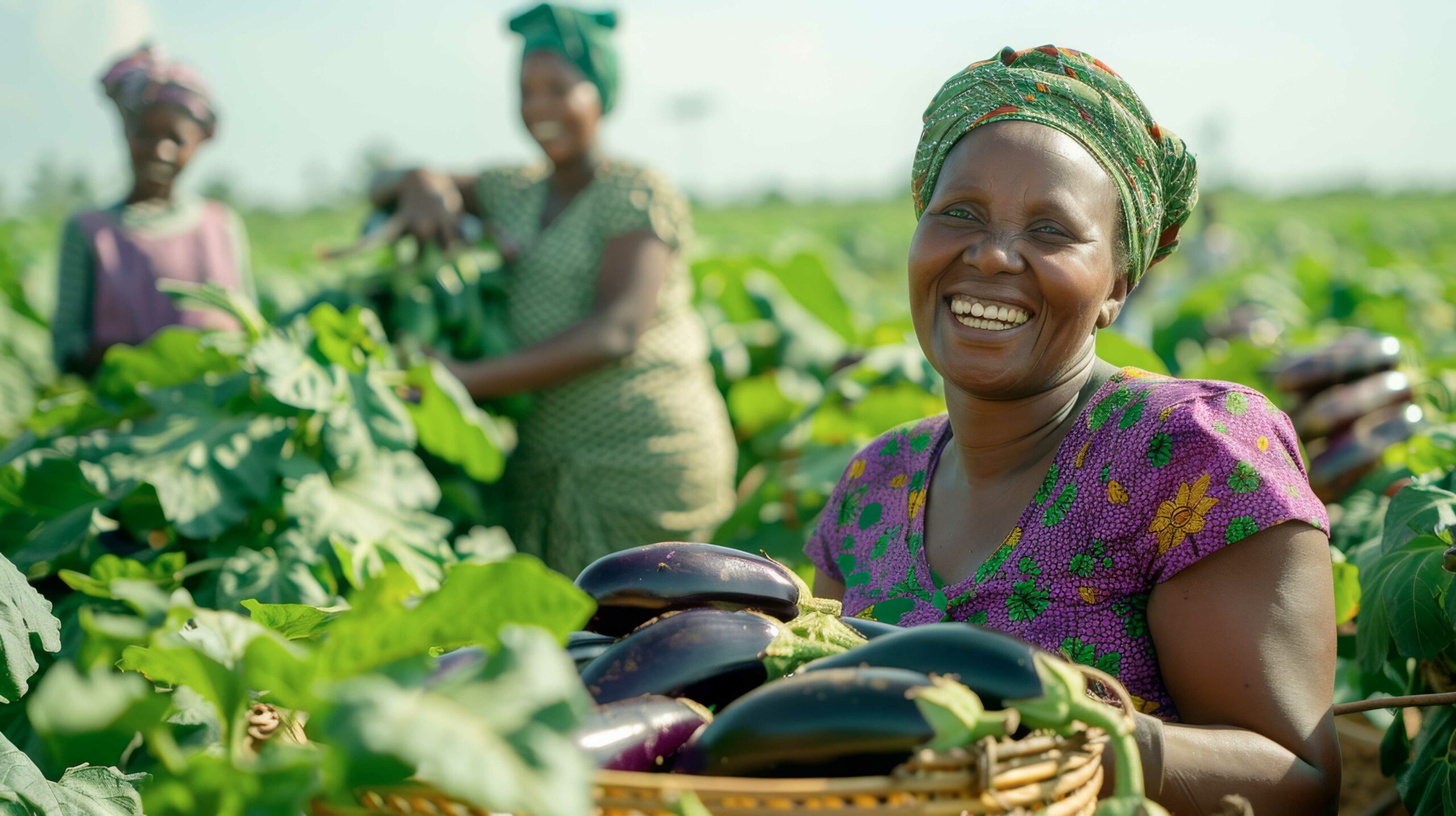 african-people-harvesting-vegetables-(1)