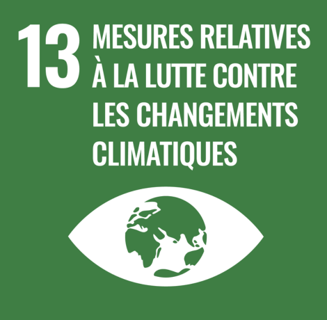 ODD 13 : Résilience face au changement climatique